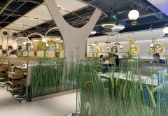 餐廳生意不好應(yīng)該怎么辦，餐飲老兵的8條建議：其中有幾條餐飲人都踩過！